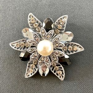 Premier Designs Slide/Brooch